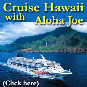 Aloha Joe Cruise
