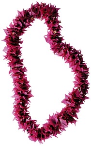 Flower Lei