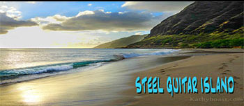 Steel Guitar Island
